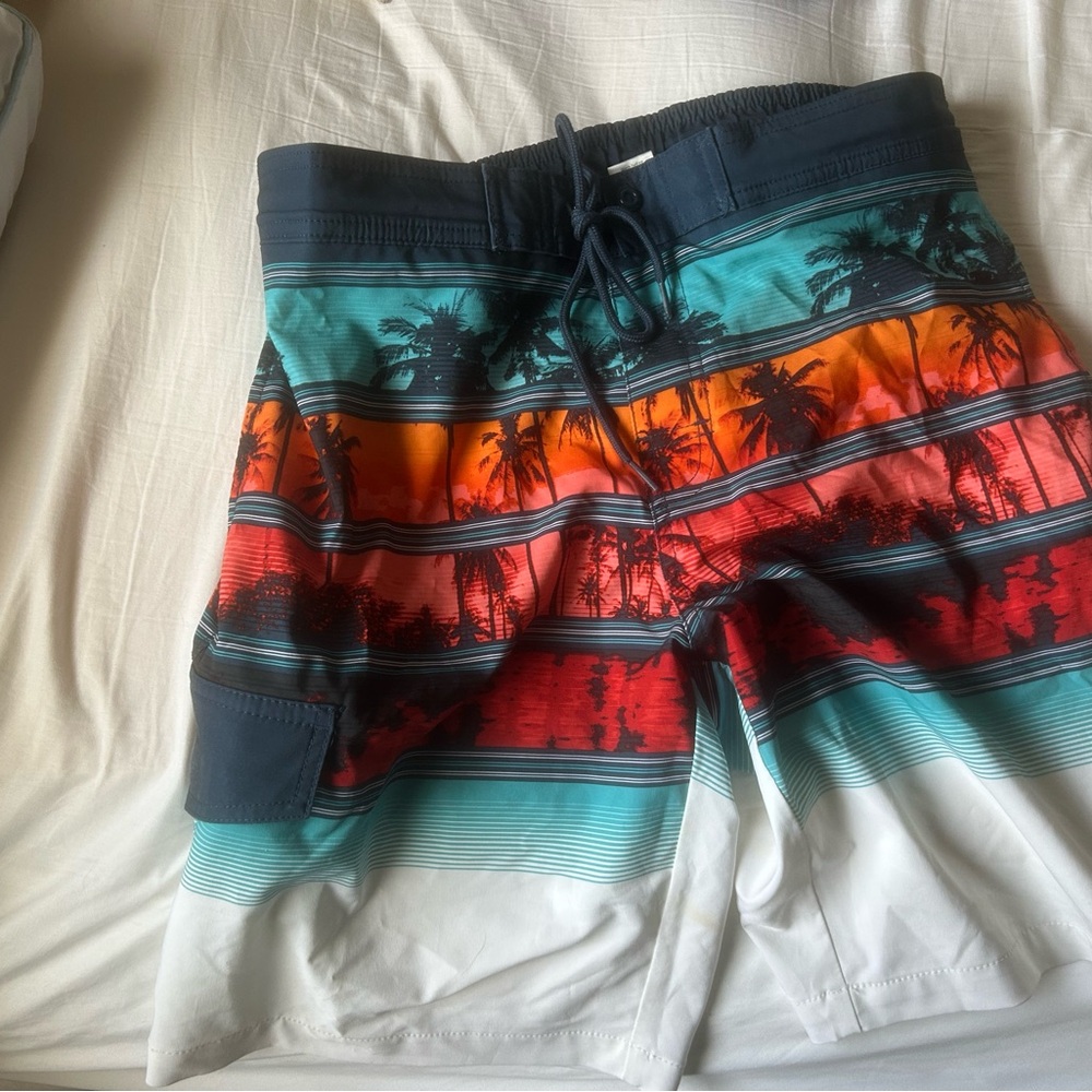 Tropical Striped Swim Shorts